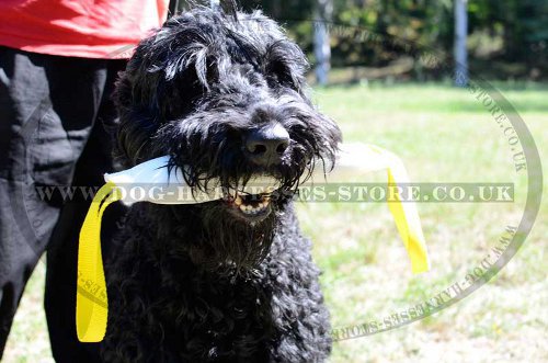 Fire Hose Bite Tug for Black Russian Terrier Training