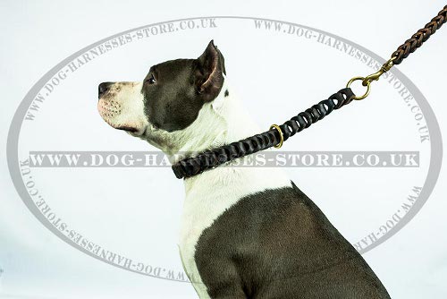 Amstaff Leash, Handmade Braided Leather Dog Lead with Handle