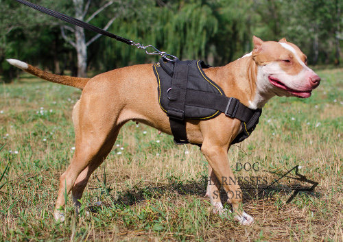Dog Sport Harness Nylon for Pitbull, Handle and Padded Chest