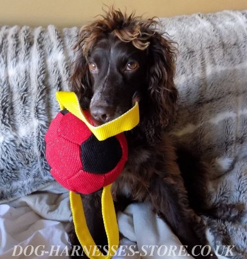 Dog Toy for Spaniel, Bright Soccer Ball Bite Tug with Handles
