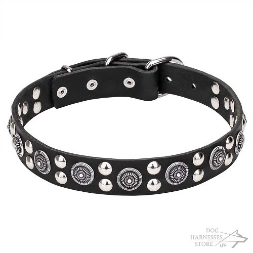 Dog Walking Collar of Leather with Silver-Like Studs and Plates