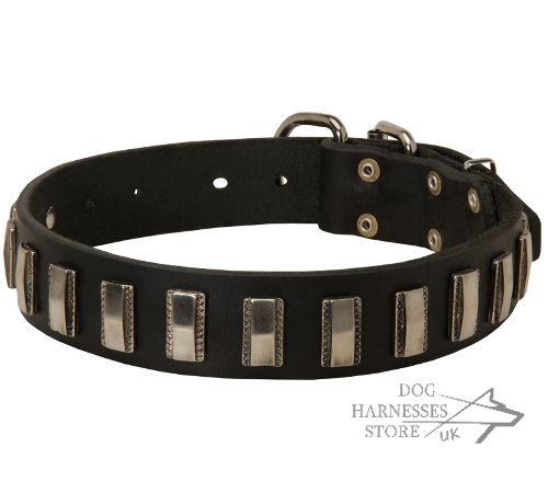 Fancy Dog Collar Leather with Nickel Plates for Strong Canine