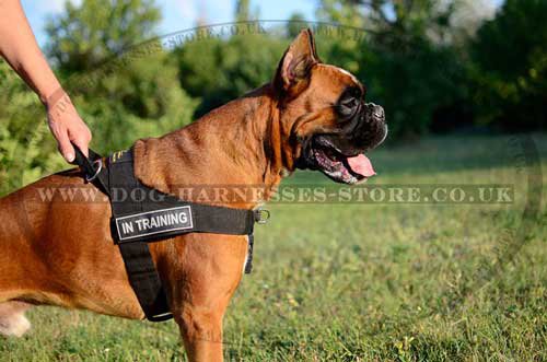 Bestseller! K9 Dog Harness for German Boxer Sport and Training