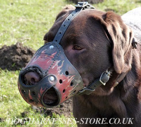 Labrador Dog Muzzle, Exclusive Hand Painted Flames on Leather