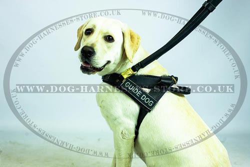 Leather Guide Dog Harness with Long and Short Handles