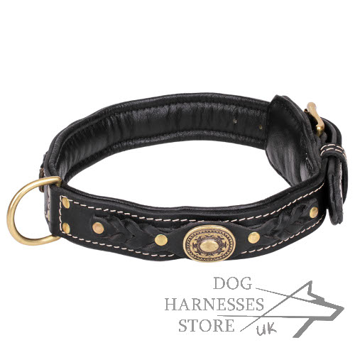 Padded Luxury Dog Collar with Braids and Decorative Plates