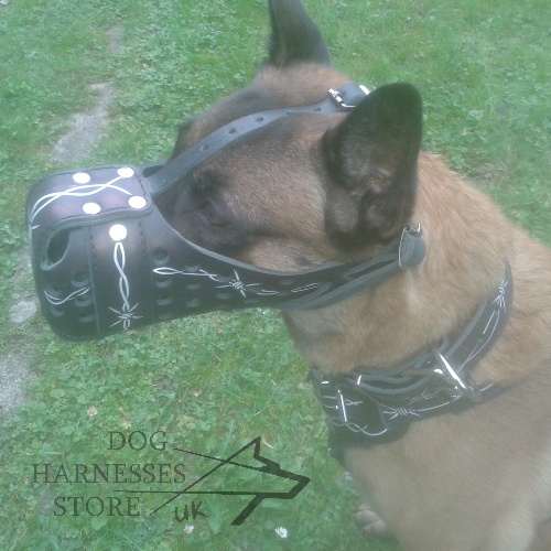 Malinois Muzzle of Unique Design with Hand Barbed Wire Painting