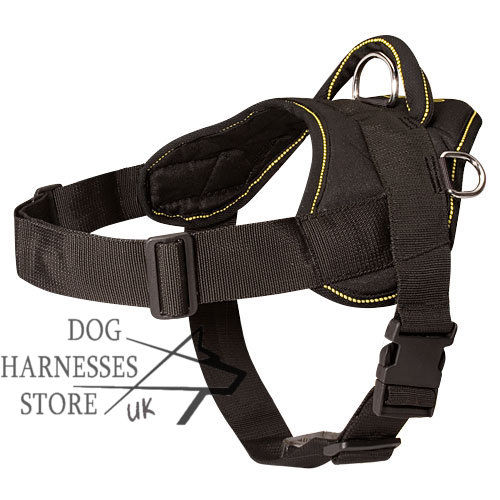 Nylon Dog Harness UK, Bestseller for Multifunctional Usage