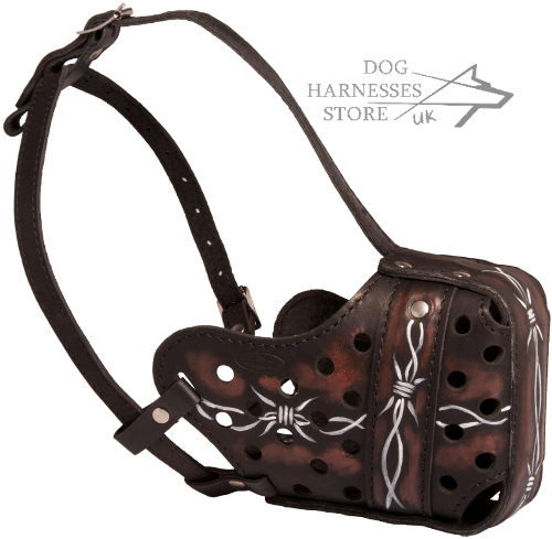 Fancy Leather Dog Muzzle with "Barbed Wire" Painting