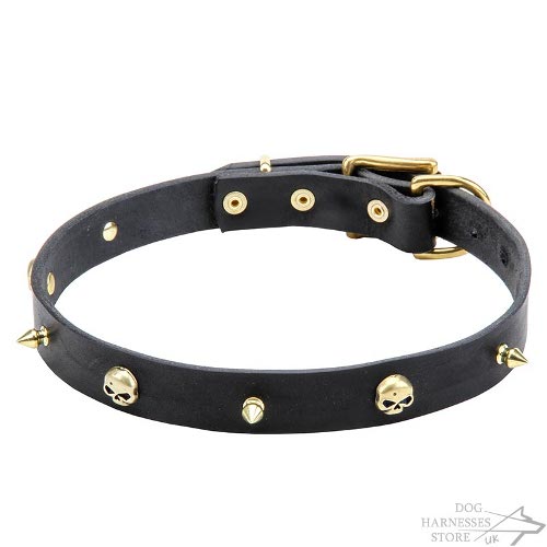 Skull Dog Collar UK Narrow Leather, Brass Spikes, Pirate Style
