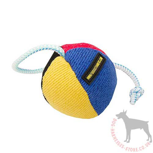 Interactive Dog Toy Soft Dog Ball on String