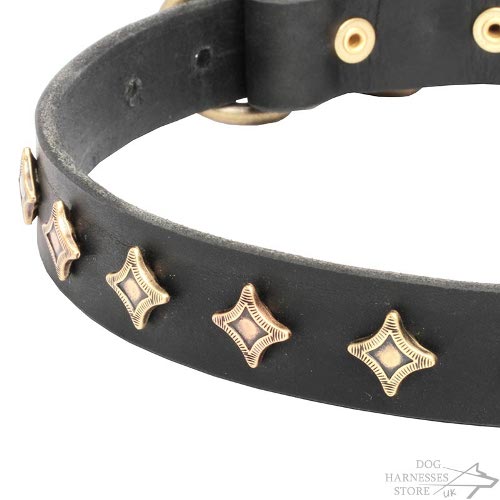 Leather Dog Collar of Narrow Width, "Stars Gem"