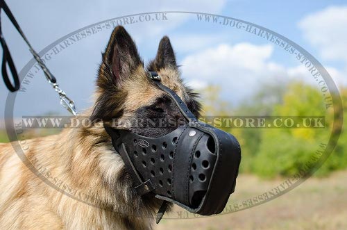 Tervuren Muzzle for Attack Training, Strong Leather