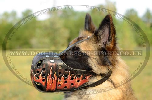 Tervuren Muzzle with Exclusive Flame Hand Painting on Leather
