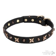 Leather Dog Collar for Walking with Bronze-Like Stars and Cones