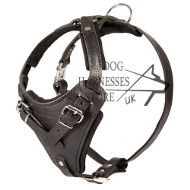 Bestseller! Leather Dog Harness with Handle for Protection Dogs