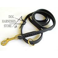 Leather Dog Leash with Solid Brass Snap Hook, Leather Lead