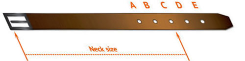 how  to size dog collar