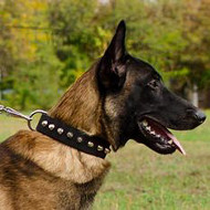 NEW Stylish Nylon Dog Collar for Malinois, with Steel Pyramids