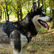 Strong Dog Harness