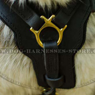 Chest Dog Harness