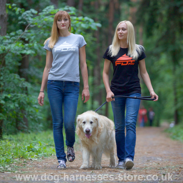 T-shirts for
Labrador Walking