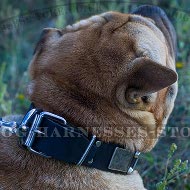 Shar-Pei Collar Leather with Nickel Plates and Cones in Vintage