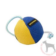 Dog Ball on String for Dog Training and Games | Soft Dog Toy