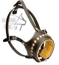 Leather Dog Muzzle, Studded and Padded Muzzle for Dog UK Leather Dog Muzzle, Studded and Padded Muzzle for Dog UK