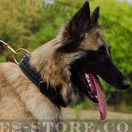 Tervuren Collar, Extra Strong, Wide, Double-Ply, Braided Leather
