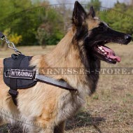 Search and Rescue Dog Harness