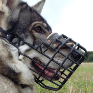 Wire Basket Cage Dog Muzzles