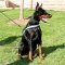 Doberman Harness of Nylon, Reflective with ID Patches UK