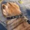 Shar-Pei Puppy Collar of Leather for Safe and Stylish Walking