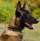 Nylon Dog Collar with 2 Rows of Spikes for Belgian Malinois