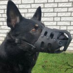 German Shepherd Dog Muzzle Leather for Daily Use