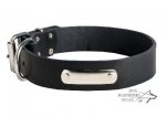 Labrador Leather Dog Collar with Name Plate for Identification_1