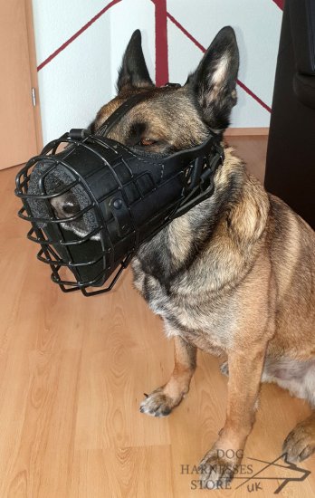 Training and Walking Dog Muzzle Covered with Black Rubber