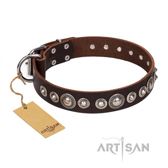 Brown Leather Dog Collar "Step and Sparkle" with Studs, Artisan