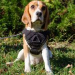 Best Beagle Harness of Waterproof Nylon with Padded Chest Plate