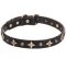 "Via Lactea" Leather Dog Collar with Bronze-Like Stars and Studs