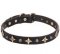 "Via Lactea" Leather Dog Collar with Bronze-Like Stars and Studs