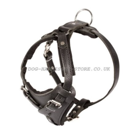 Leather Dog Harness for French Bulldog Control