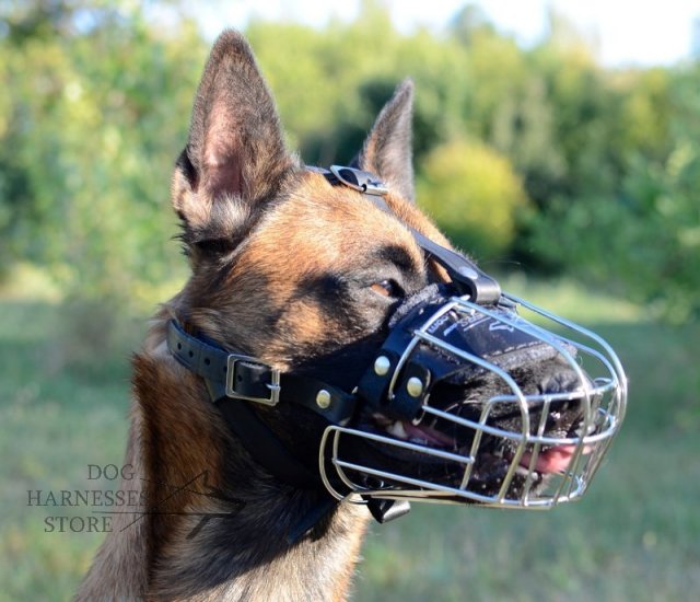 Dog Muzzle for Belgian Malinois Training and Work