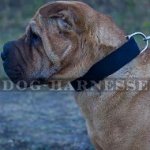 Shar-Pei Collar of Classic Style for Everyday Use, Two-Ply Nylon