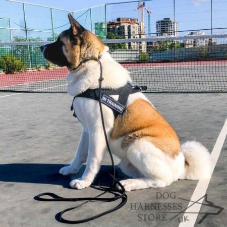 Dog Harness Moisture-Resistant, Lightweight K9 of Strong Nylon
