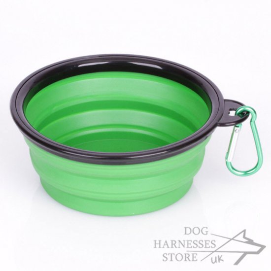 Portable Dog Food and Water Bowl