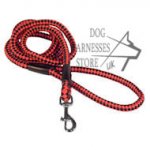 Heavy-Duty Cord Nylon Dog Leash 10 mm, UK Strong Lead