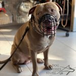 Basket Dog Muzzle Covered by Black Rubber, UK_6