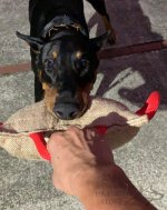 Jute Bite Pillow for Dog Training with Three Convenient Handles_1